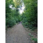 Wildpark_2c_1.jpg